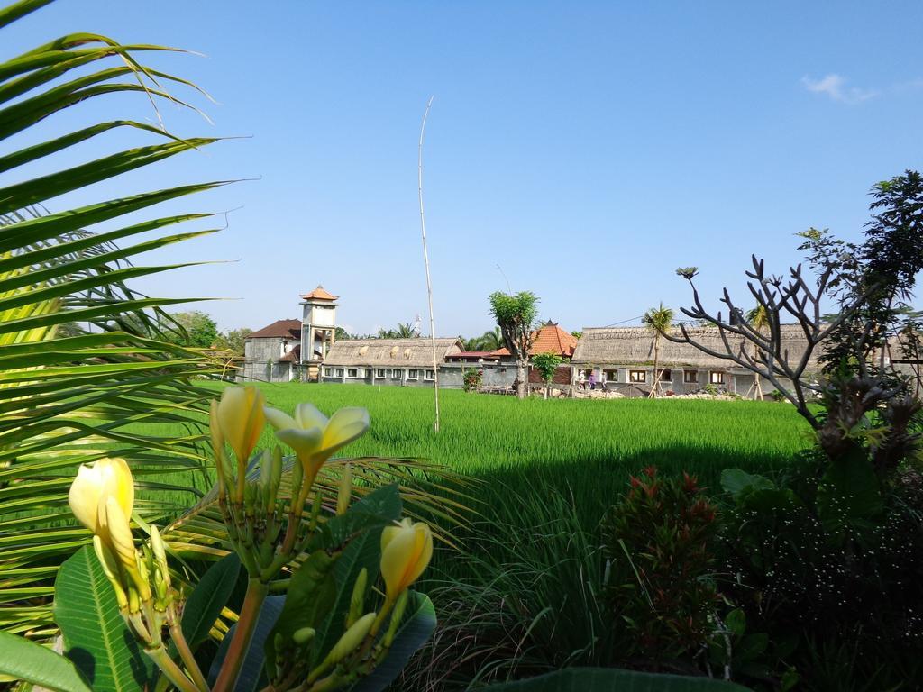 Bening Bungalow Ubud Zewnętrze zdjęcie