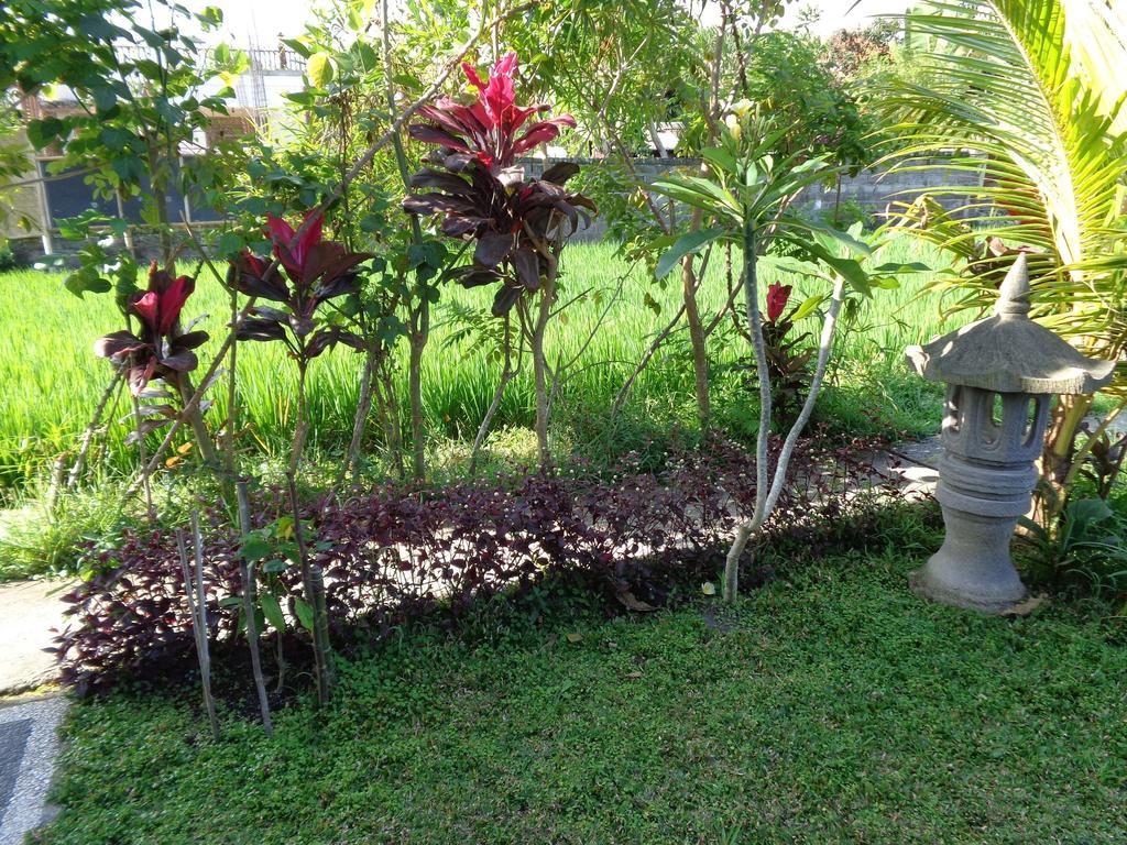 Bening Bungalow Ubud Zewnętrze zdjęcie