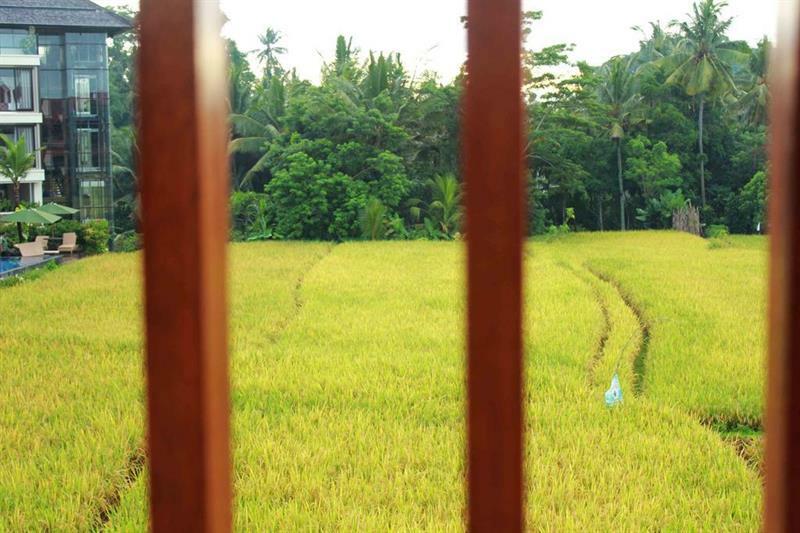 Bening Bungalow Ubud Zewnętrze zdjęcie